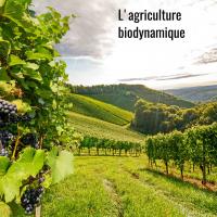 L'agriculture bidynamique