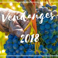 Vendanges 2018