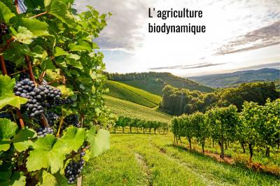 L'agriculture bidynamique