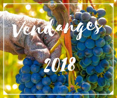 Vendanges 2018